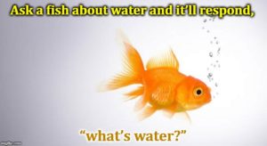 Fish Out Of Water Or In Water