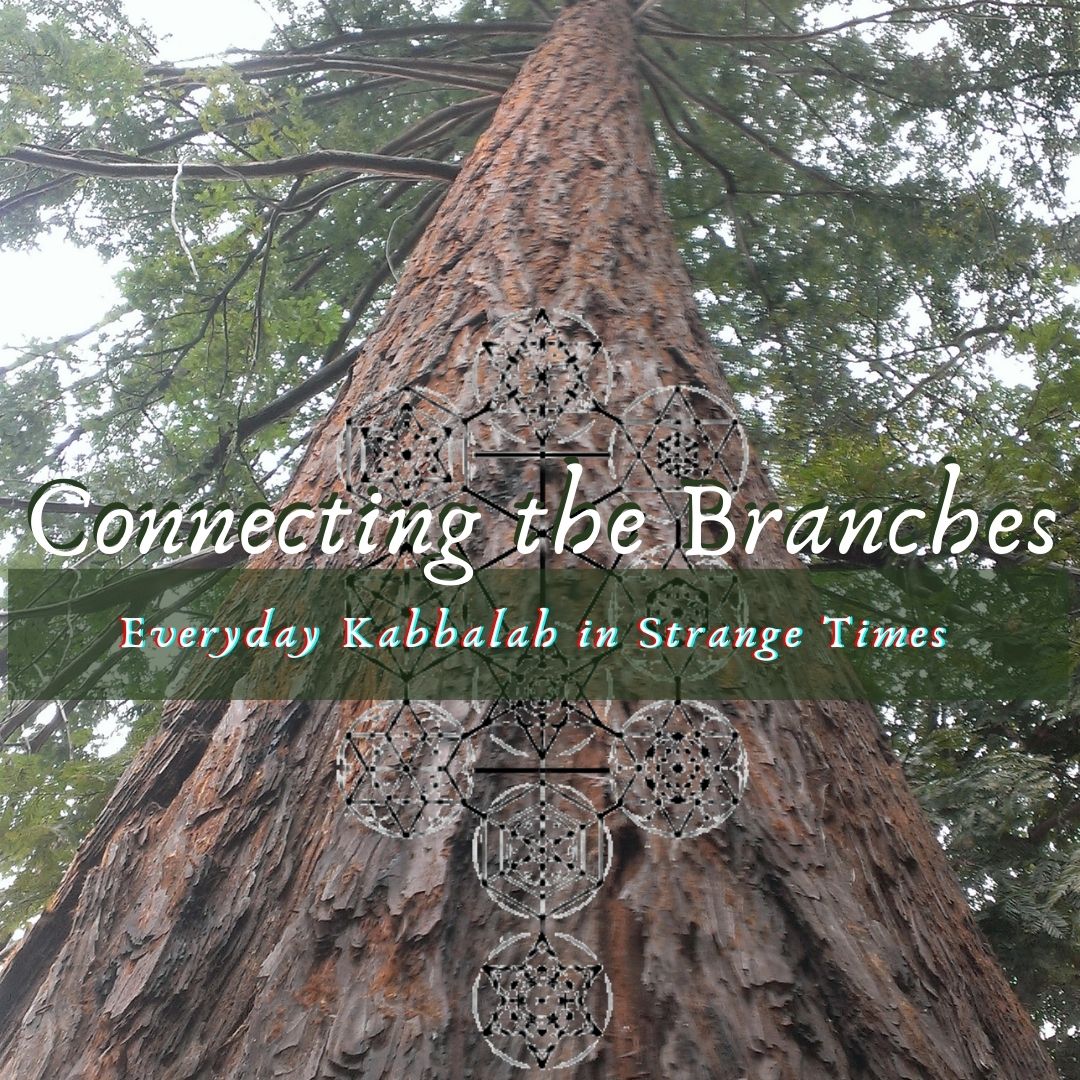 Connecting the Branches Episode 3: news bits, a Romani feminist play, and more!